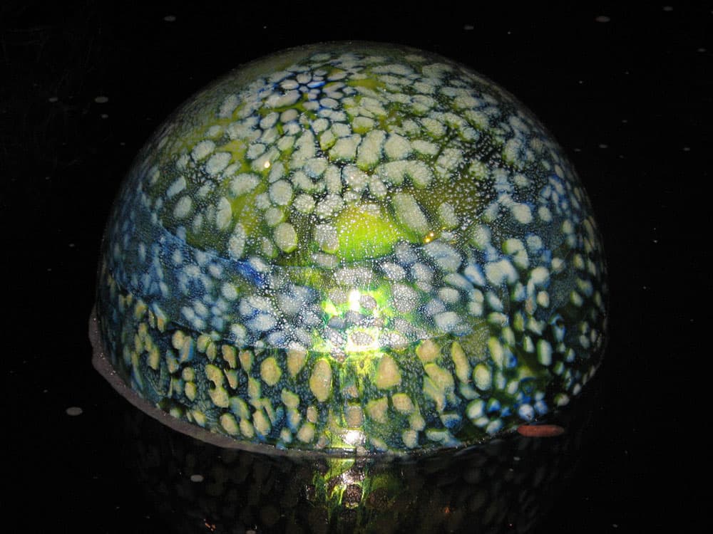 Mushroom / Jellyfish