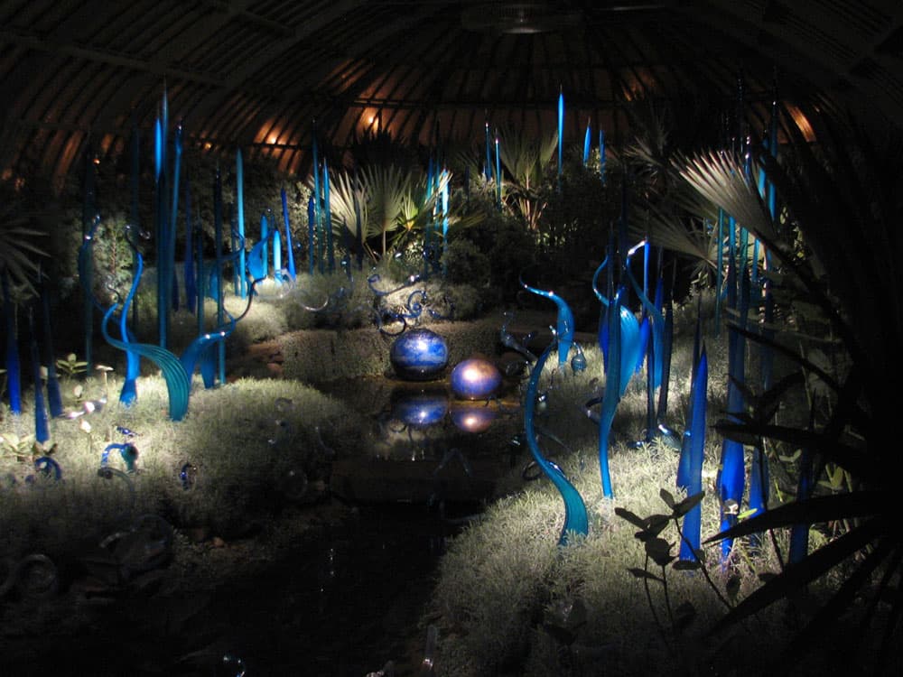 Blue glass bluegrass