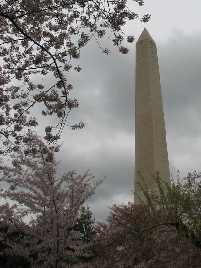 Washington Monument