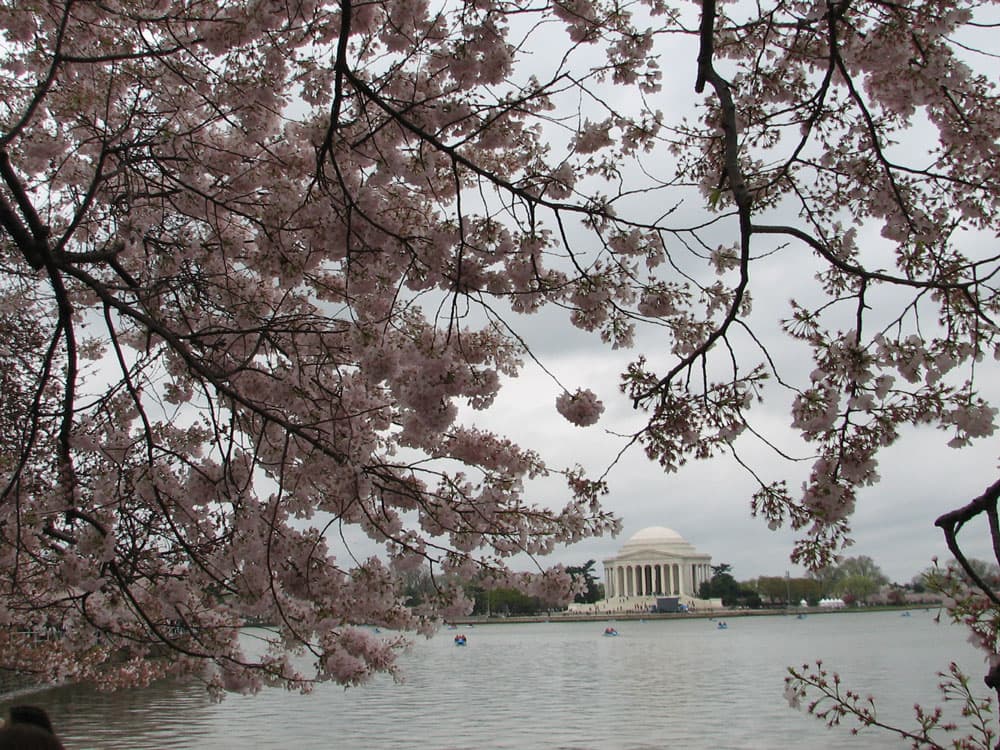 Jefferson across the water