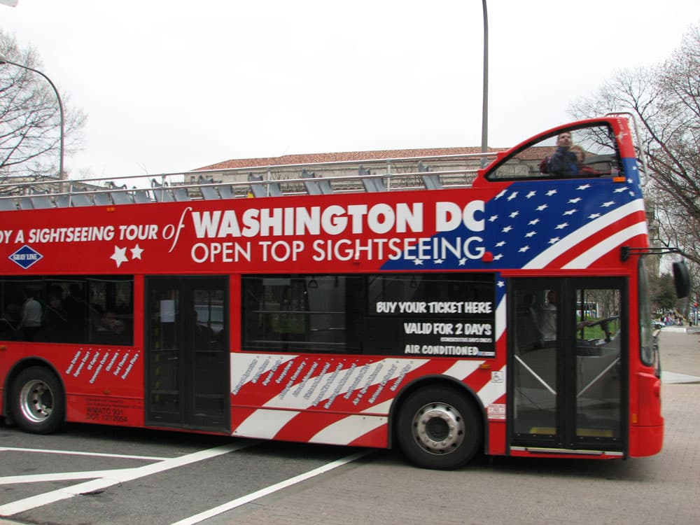 Sightseeing Bus