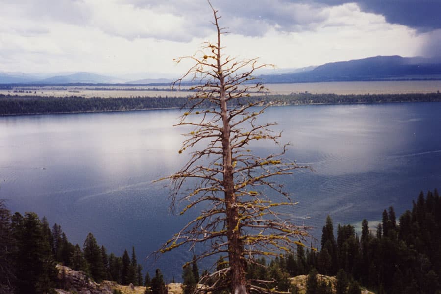 View near Grand Tetons