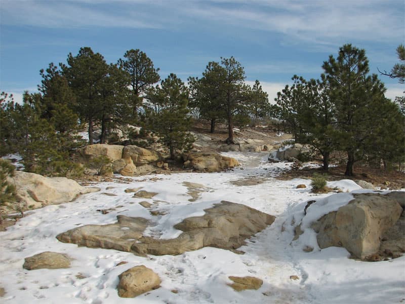 Walking in Ute Valley Park