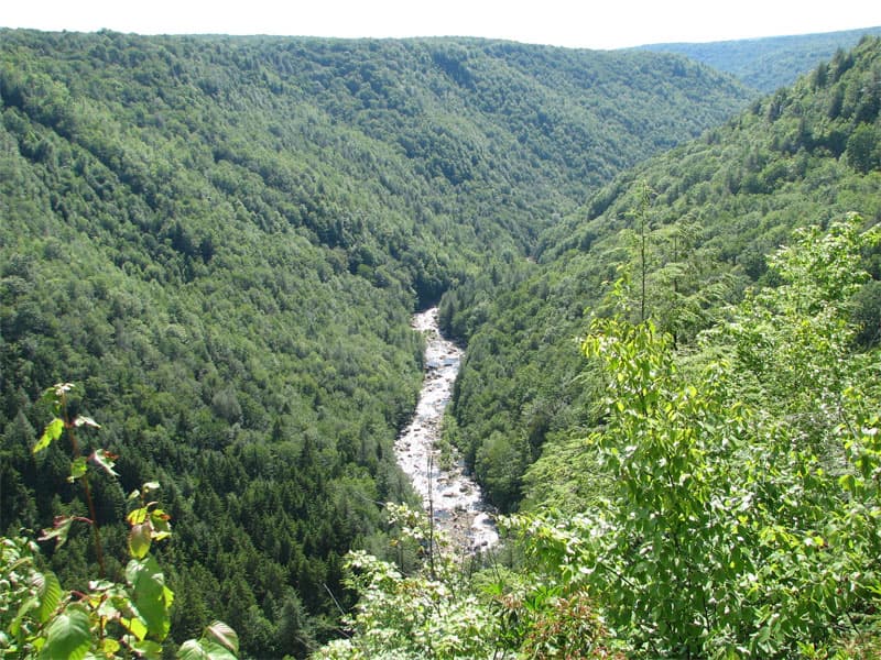 View from lookout point