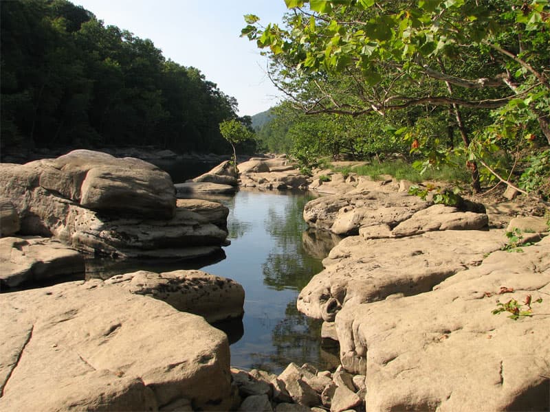 Calm waters on the river's edge