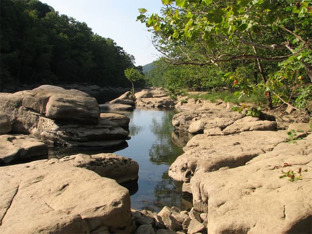 Calm waters on the river's edge