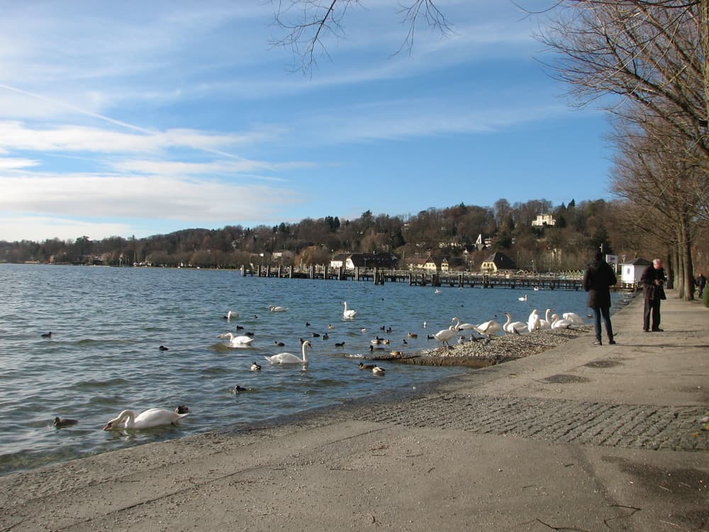 Lake Starnberg shore