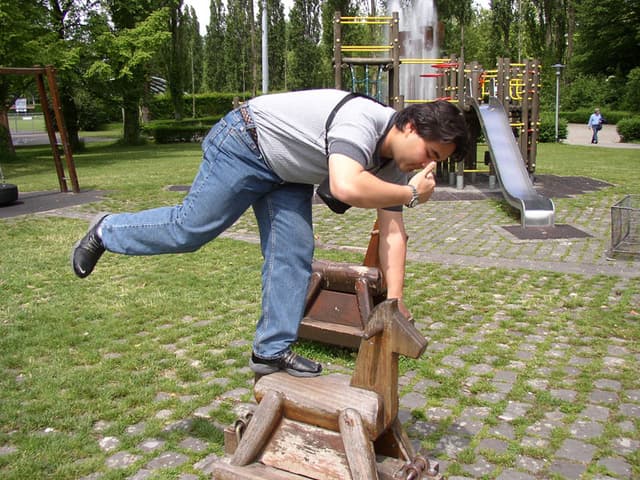Robin riding a horse