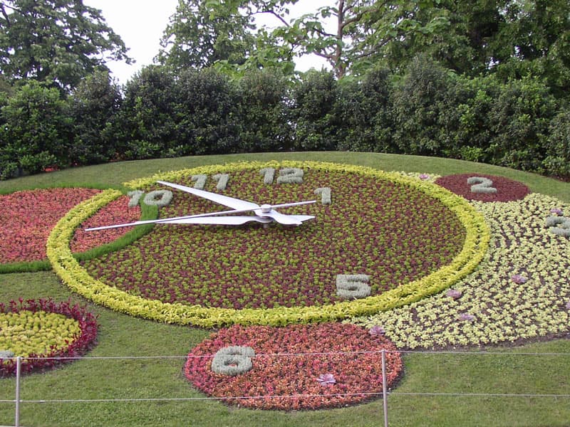 Flower clock
