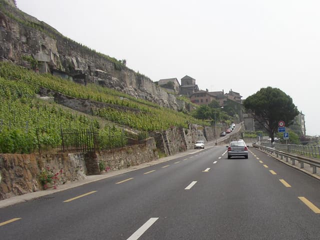 Vineyards along Lake Geneva