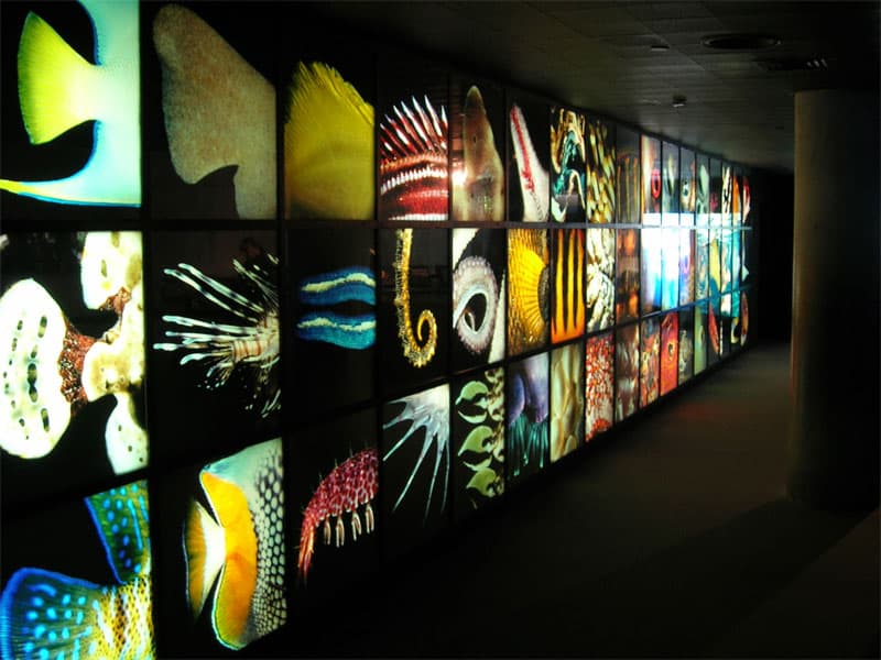 National Aquarium in Baltimore