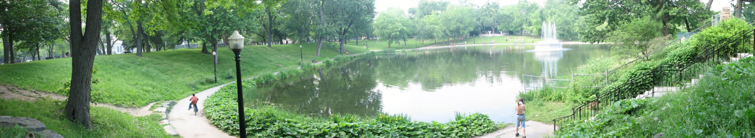 Panorama in the park