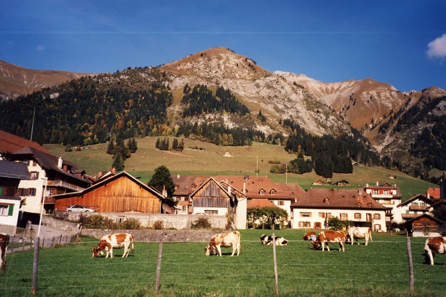 Near Gruyere