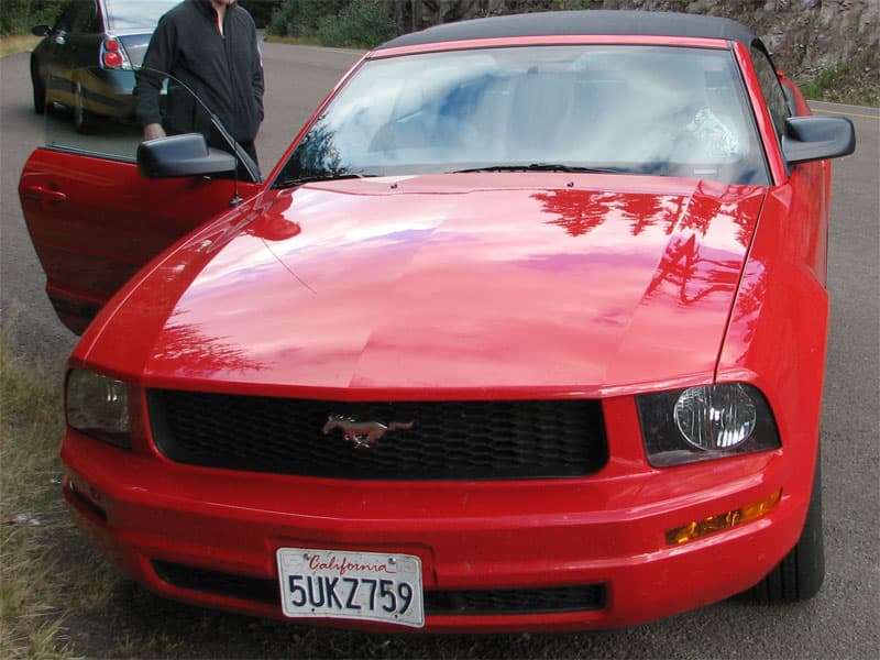 Rental Mustang convertible