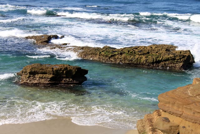 Thanksgiving in California (2009)