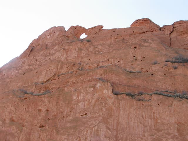 Kissing Camels