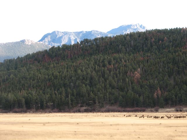 Mountains near elk