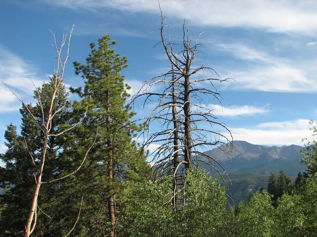 Colorado
