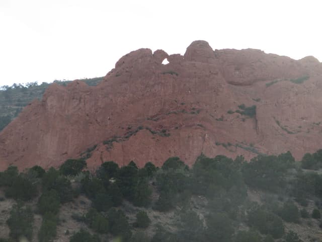Kissing Camels