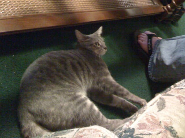 Maggie