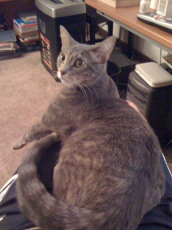 Maggie