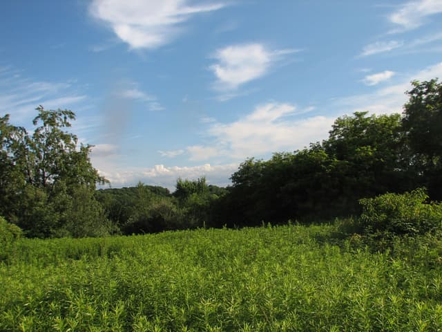 Moraine State Park