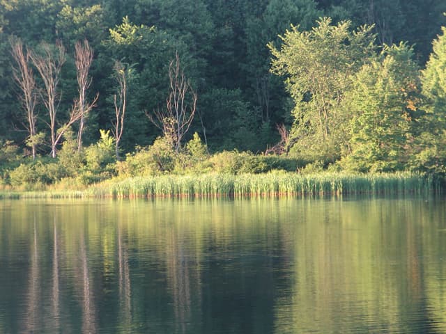 Reflections