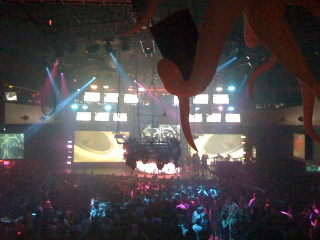Rain at the Palms