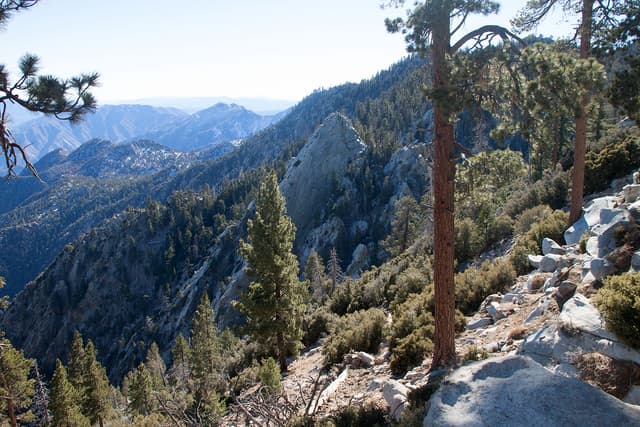 Mount San Jacinto view