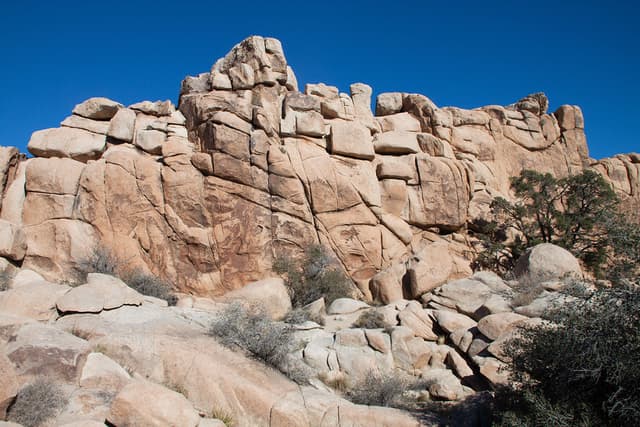 Joshua Tree National Park