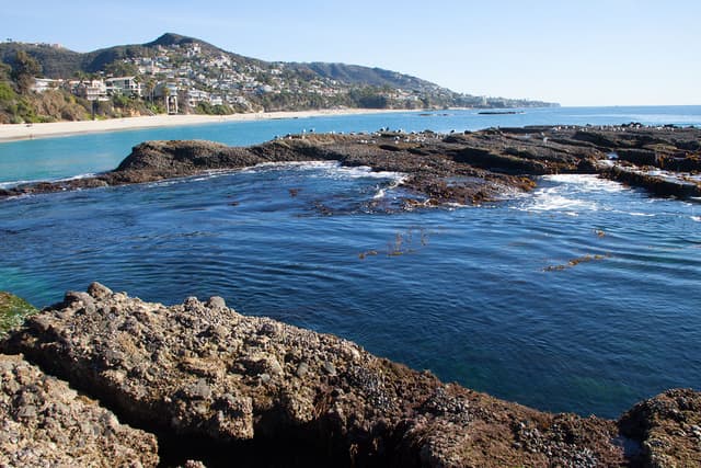 Laguna Beach tide pools