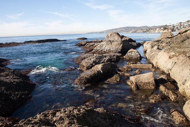 Laguna Beach