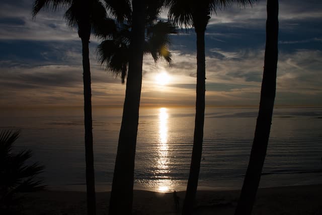 Laguna Beach