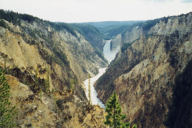 Yellowstone
