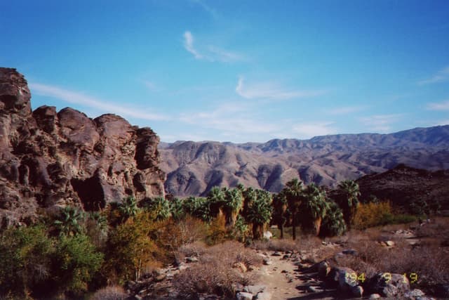 Palm Canyon near Palm Springs