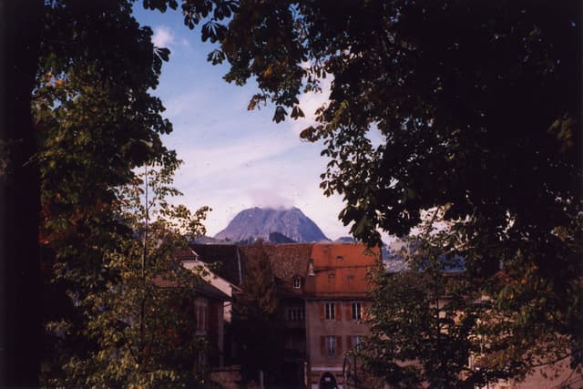 Gruyere