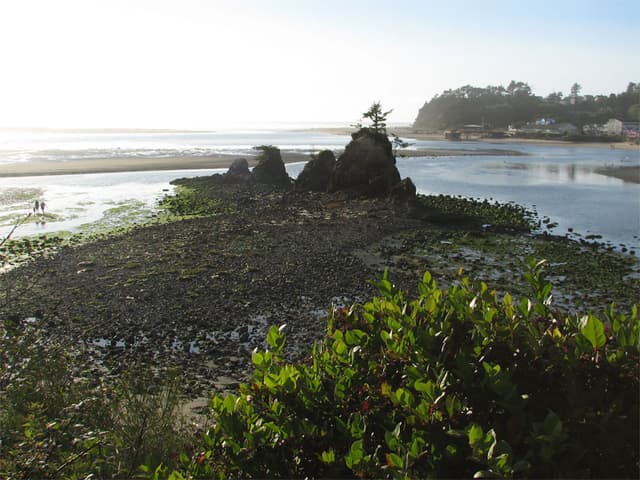 Oregon Coast